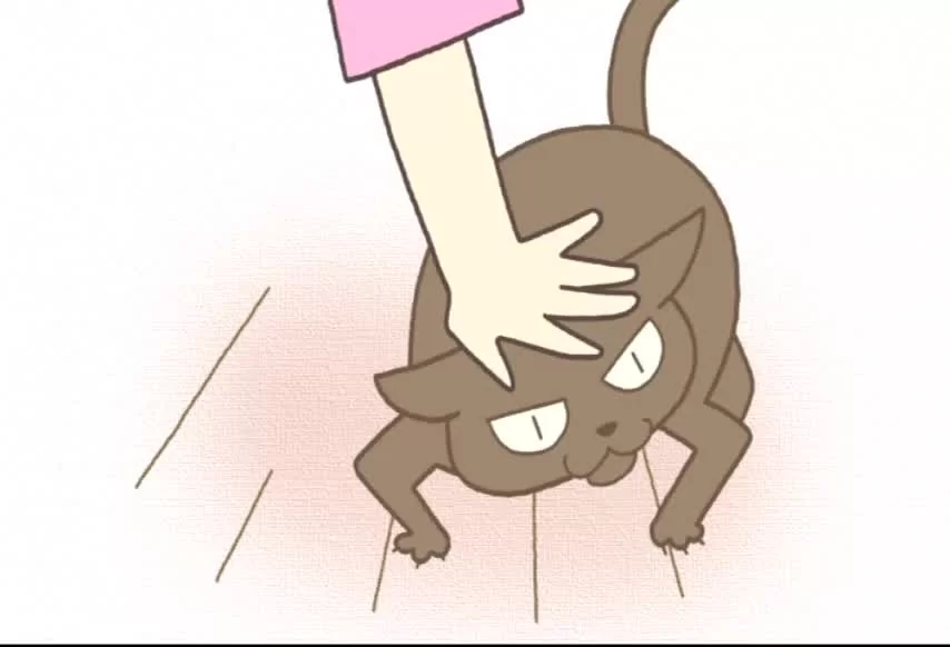 Скриншот мз аниме Кошачьи истории: Спецвыпуски